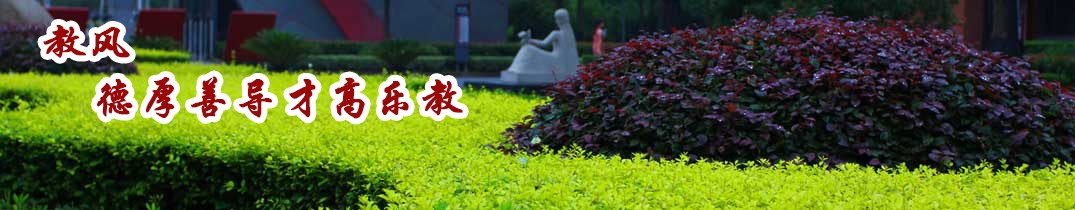 专题专栏